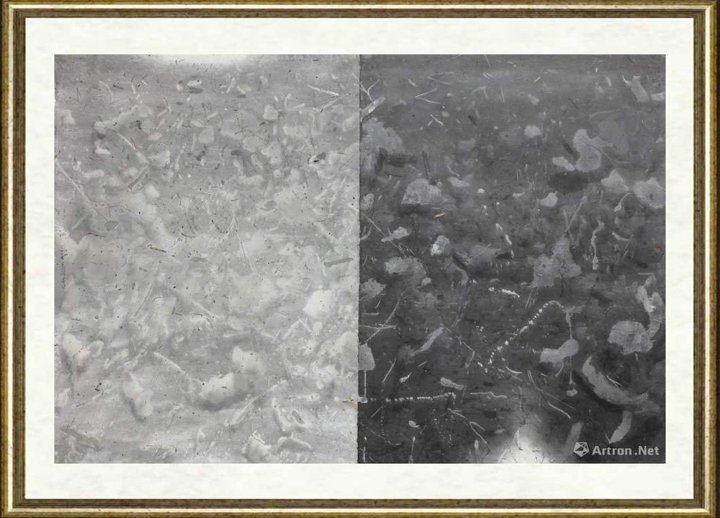 陆春涛_荷塘·2014No.007  lotus pond·2014No.007
